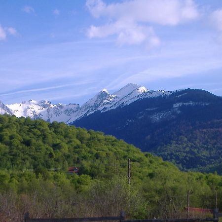 Pensiunea Arpasel Arpaşu de Sus Esterno foto