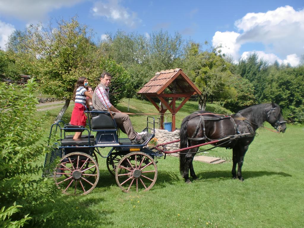 Pensiunea Arpasel Arpaşu de Sus Esterno foto