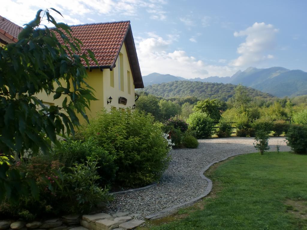Pensiunea Arpasel Arpaşu de Sus Esterno foto